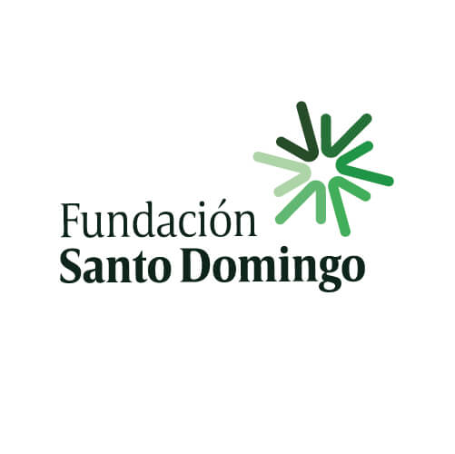 LOGO WEB_FUNDACIÓN STO DOMINGO-100